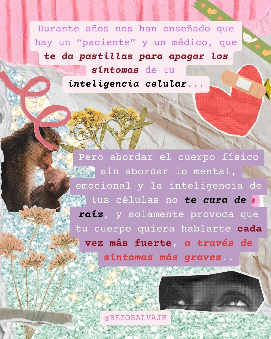 Acompañamiento para diseño de  tratamiento personalizado