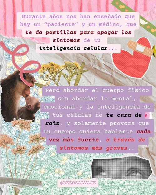 Acompañamiento para diseño de  tratamiento personalizado