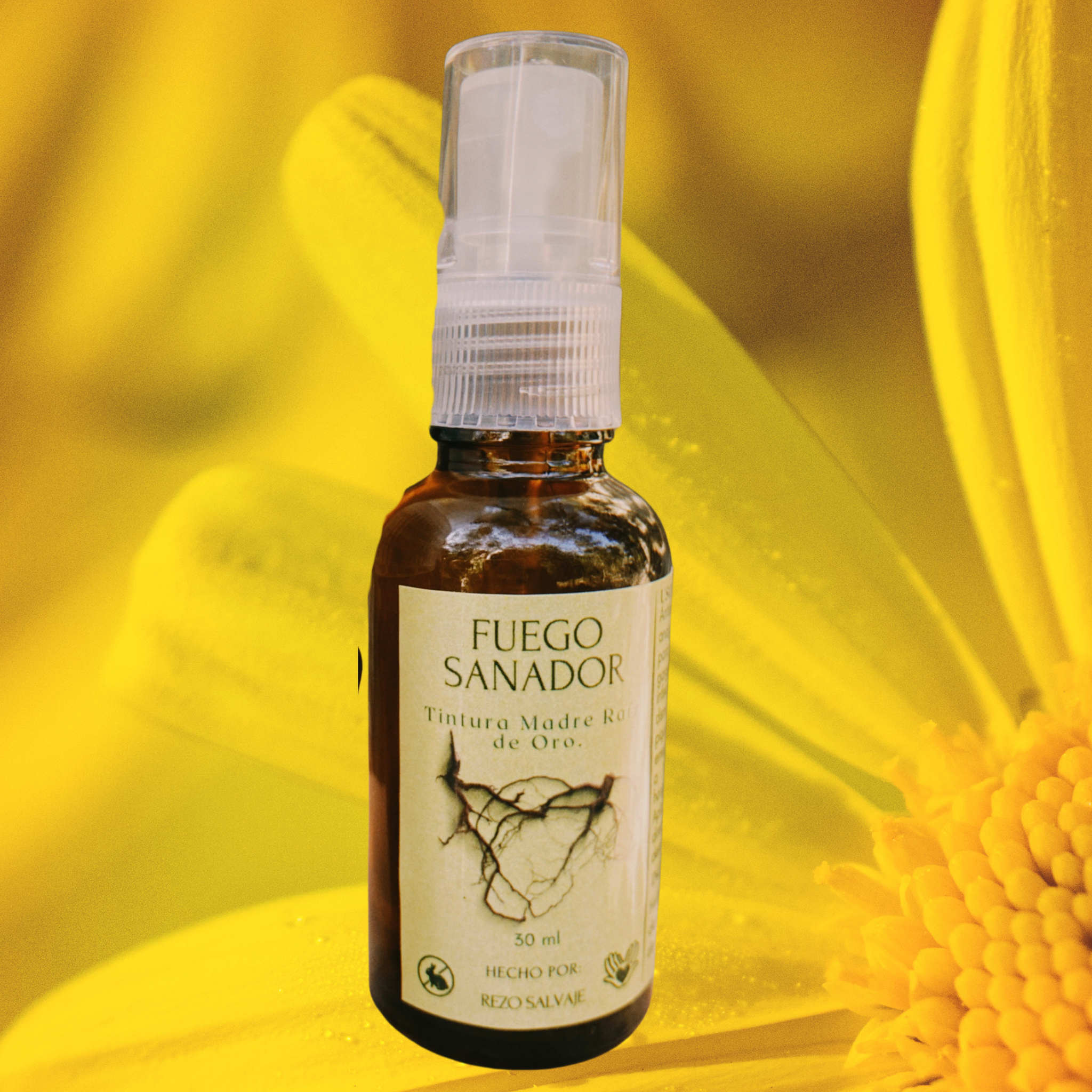 Tintura Madre Raíz de Oro, CHILCUAGUE Gde. - 30 ml