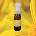 Tintura Madre Raíz de Oro, CHILCUAGUE Ch. - 10 ml