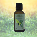 Tintura Madre REGENERADORA, Tónico Áncestral - 30ml