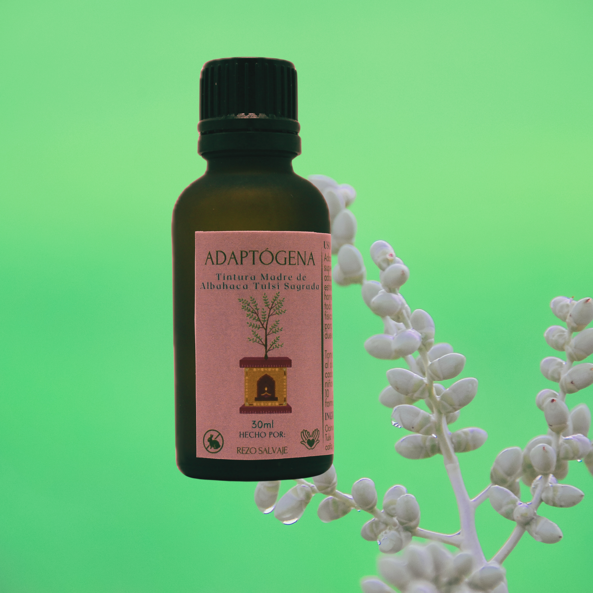 Tintura Madre ADAPTÓGENA, Albahaca Sagrada Tulsi - 30ml