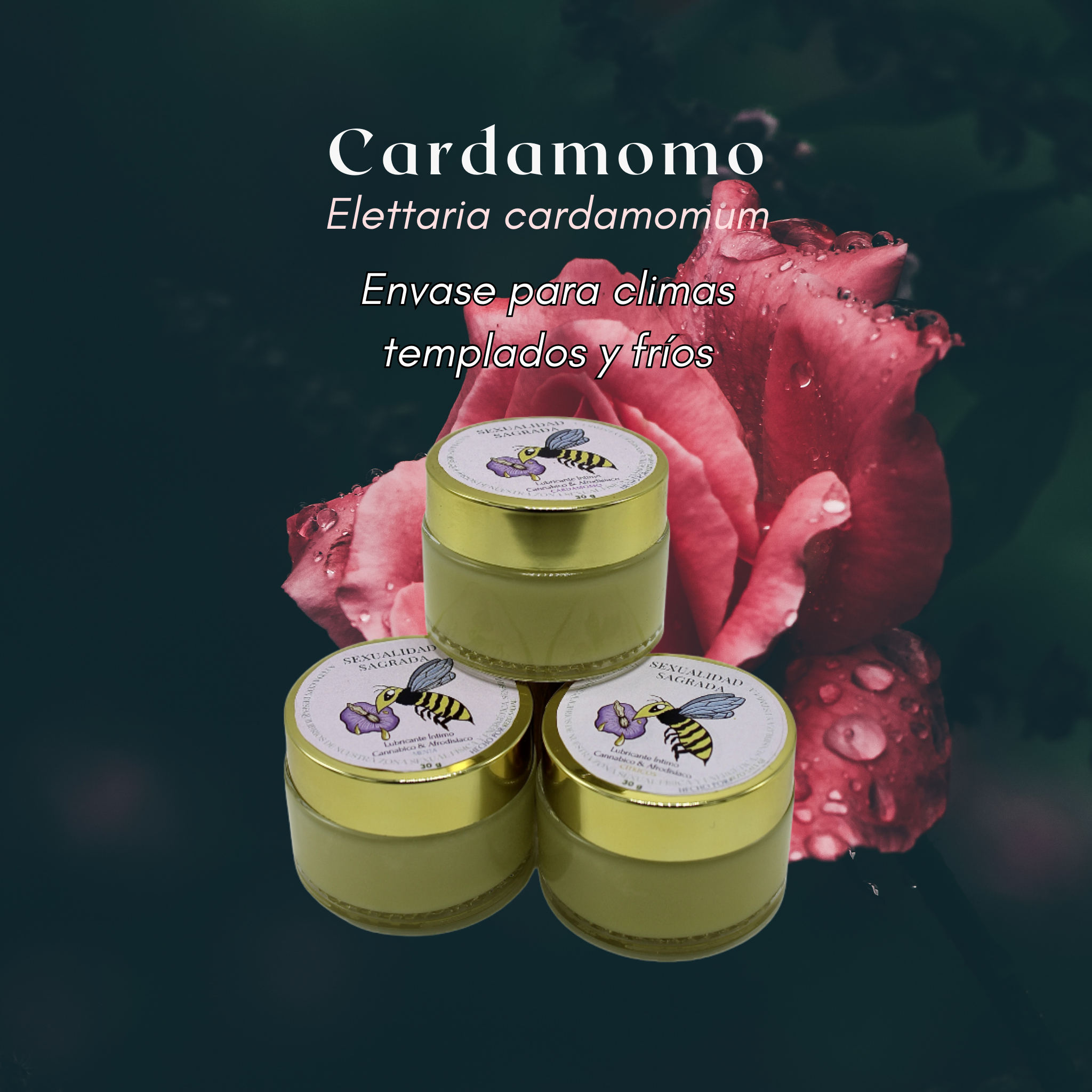 Lubricante Íntimo Afrodisiaco Cardamomo Pomadera - 30gr
