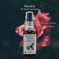 Lubricante Íntimo Afrodisiaco Menta Envase Calor Extremo- 30gr